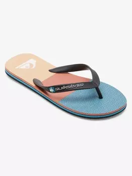 Шлепанцы Quiksilver MOLOKAI STRIPE, разноцветный