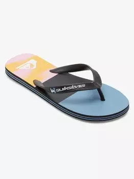 Шлепанцы Quiksilver MOLOKAI STRIPE, разноцветный