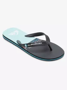 Шлепанцы Quiksilver MOLOKAI STRIPE, синий