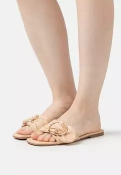 Шлепанцы RAID