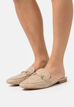 Шлепанцы RAID