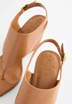 Шлепанцы SIGNATURE TOE POST, REGULAR FIT Next, коричневый