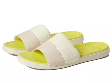 Шлепанцы Sperry, Plushwave Dock Slide