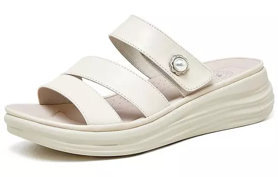 Шлепанцы женские Camel