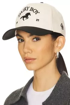 Шляпа дальнобойщика восточного побережья Dairy Boy, черный