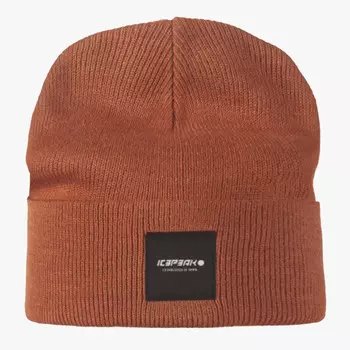 Шляпа для прически Icepeak, серый