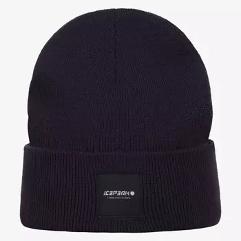 Шляпа Харкорт Icepeak, синий