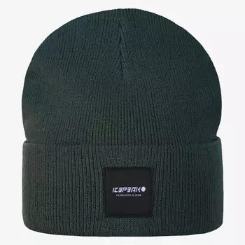 Шляпа Харкорт Icepeak, зеленый