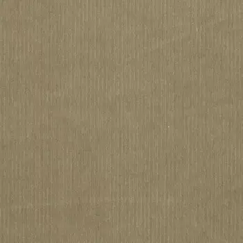 Шнур-стретч Supima Chino, хаки