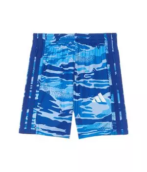 Шорты adidas Kids Aop Tiger Camo Shorts, цвет Team Royal Blue