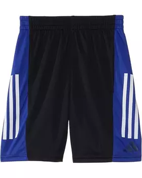 Шорты adidas Kids Colorblck Short(Big Kid), цвет Black/Blue