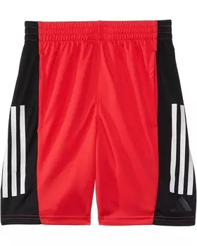 Шорты adidas Kids Colorblck Short(Big Kid), цвет Bright Red