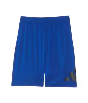 Шорты adidas Kids Essentials Big Logo Shorts, цвет Team Royal Blue