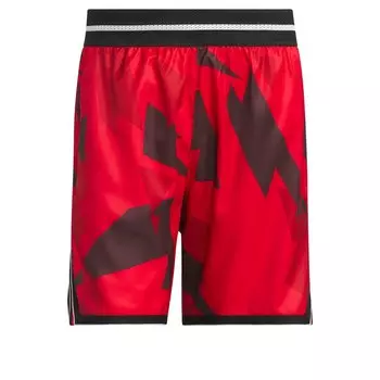Шорты ADIDAS PERFORMANCE Loose fit Workout Pants Crazy Lite, красный