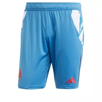 Шорты ADIDAS PERFORMANCE Slim fit Workout Pants France, синий