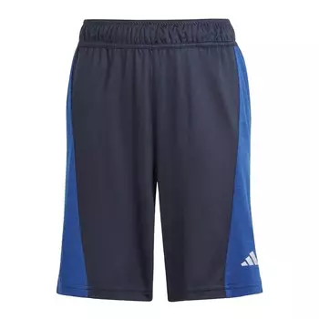 Шорты ADIDAS SPORTSWEAR Regular Workout Pants, синий