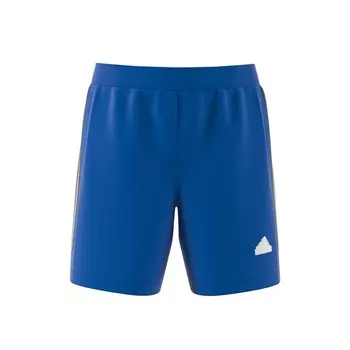 Шорты ADIDAS SPORTSWEAR Regular Workout Pants, синий