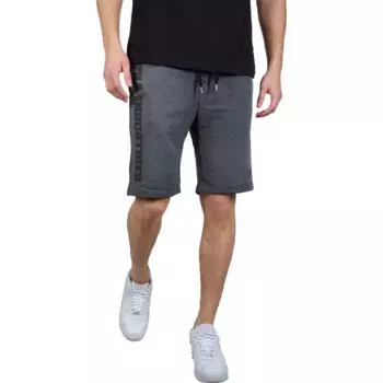 Шорты Alpha Industries Big Letters, серый
