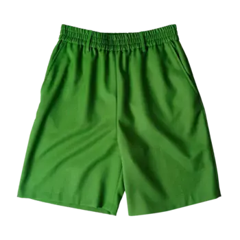 Шорты Ami Elasticated Waist 'Fir Green', зеленый