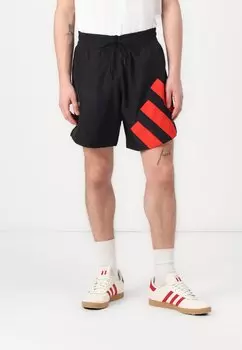 Шорты ANTED Adidas Originals, черный
