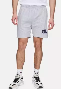 Шорты APPAREL LANDEN - Tracksuit bottoms Fila, серый