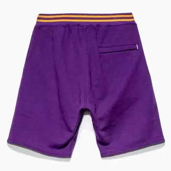 Шорты Arch в цвете Acai IceCream