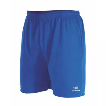 Шорты Asioka Ro, синий