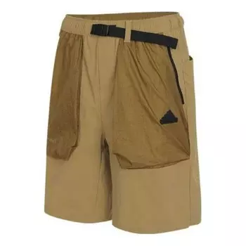 Шорты aw24 shorts asia sizing 'tan black' Adidas, бежевый