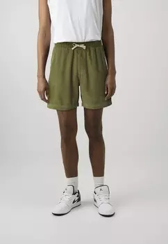 Шорты BDG Urban Outfitters, зеленый