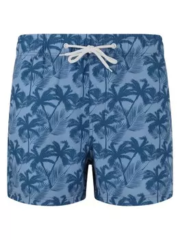 Шорты бермуды Cruz, цвет print 3609 blue palm tree