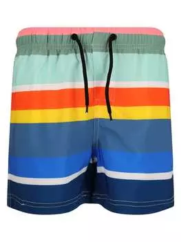 Шорты бермуды Cruz, цвет print 3624 rainbow stripe