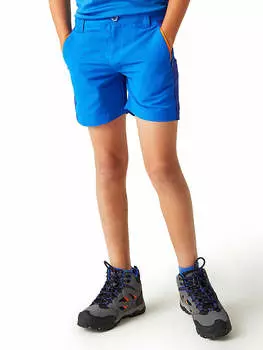 Шорты бермуды Regatta, синий