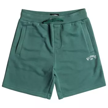 Шорты Billabong Kid's Arch Short, цвет Billiard