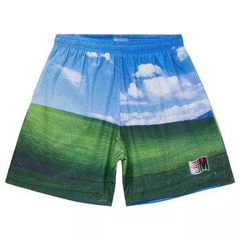 Шорты BLISS MESH SHORTS Market, цвет Blau