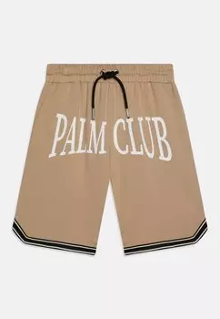Шорты BOYS PALM CLUB Blue Effect, цвет macchiato reactive