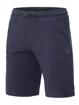 Шорты Brille Neville, серый