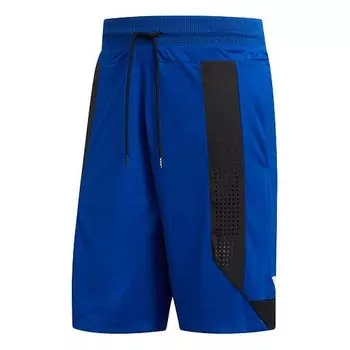 Шорты c365 short colorblock sports loose basketball shorts blue Adidas, синий