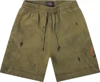 Шорты Cactus Jack by Travis Scott x Air Jordan Washed Suede Shorts 'Medium Olive', зеленый