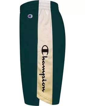 Шорты Champion Champion Script Gradient Basketball Shorts, цвет Lakeside Green/Sunbeam Glow