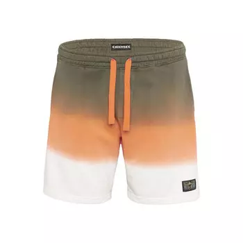 Шорты Chiemsee, темно-зеленый