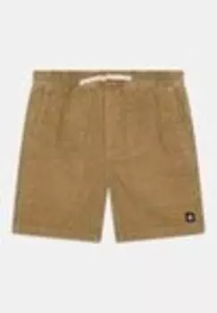 Шорты CHILLIN Element, песочный