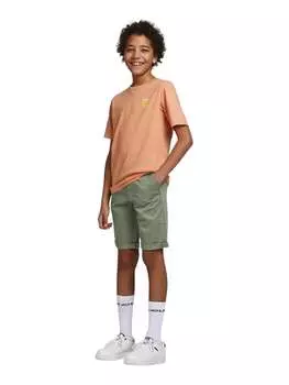 Шорты чинос Jack & Jones, зеленый