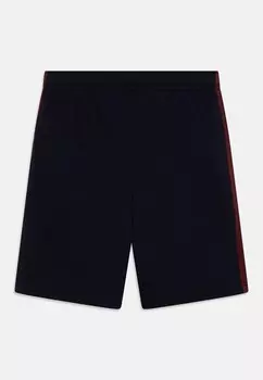 Шорты COLOR BLOCK UNISEX Lacoste, темно-коричневый