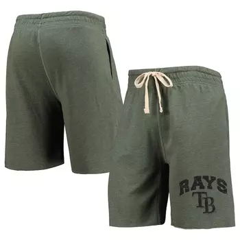 Шорты Concepts Sport Tampa Bay Rays, зеленый