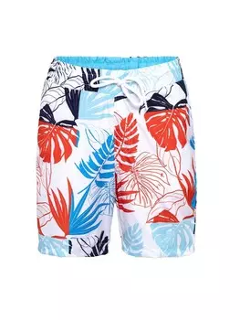 Шорты Daniel Hills Board Shorts, цвет Mixed colors