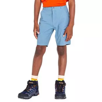 Шорты Dare2B Reprise II, синий
