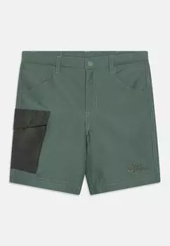 Шорты для активного отдыха ACTIVE K Jack Wolfskin, цвет hedge green