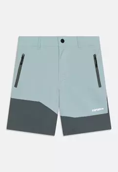 Шорты для активного отдыха KENNEY UNISEX Icepeak, цвет light green