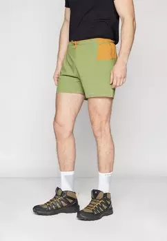 Шорты для активного отдыха STRIDER PRO SHORTS Patagonia, цвет buckhorn green