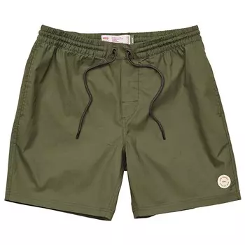 Шорты для бассейна Globe Clean Swell, олива